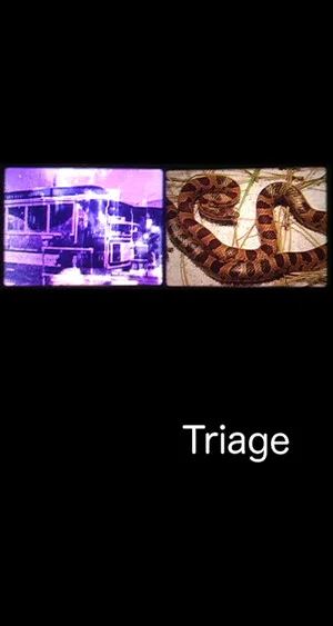 Постер: Triage