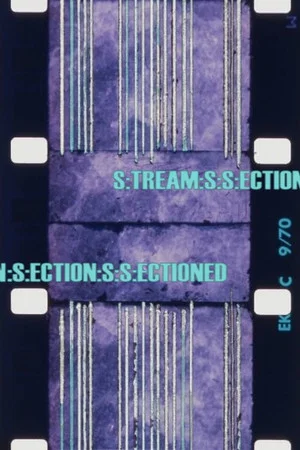 Постер: S:TREAM:S:S:ECTION:S:ECTION:S:S:ECTIONED