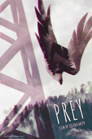 Постер: Prey