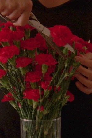 Постер: Flowers Blooming In Our Throats