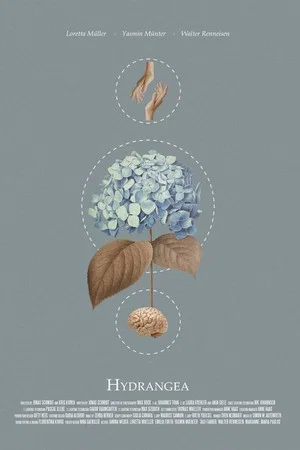 Постер: Hydrangea