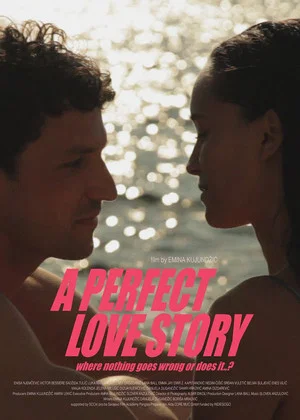 Постер: A Perfect Love Story Where Nothing Goes Wrong or Does It…?