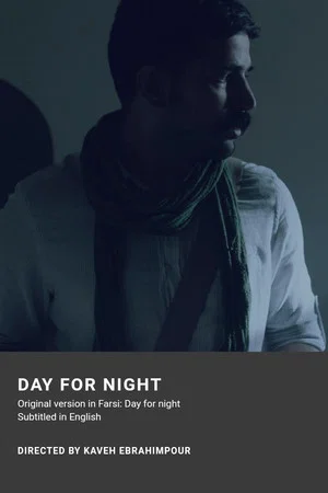 Постер: Day for night