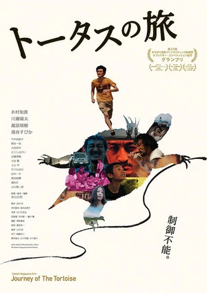 Постер: Journey of the Tortoise