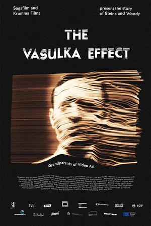 Постер: The Vasulka Effect