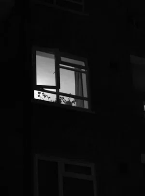 Постер: Film 1 - Max