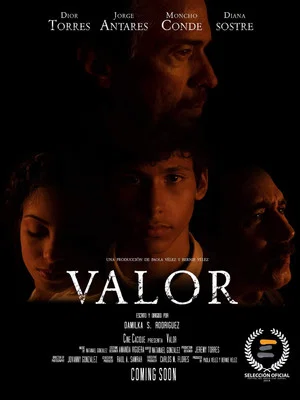 Постер: Valor