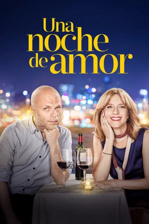 Постер: One Night of Love