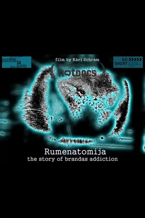 Постер: Rumenatomija: The Story of Brandas Addiction