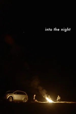 Постер: Into the Night