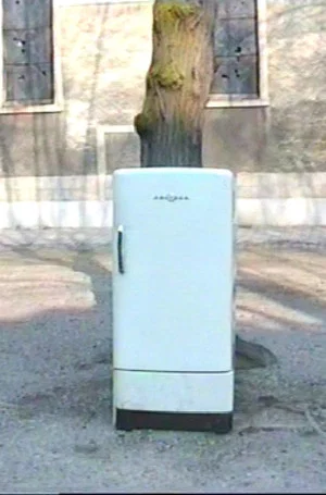 Постер: Stoning the Refrigerator