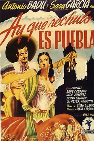 Постер: ¡Ay qué rechula es Puebla!