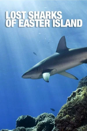 Постер: Lost Sharks of Easter Island