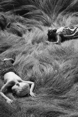 Постер: Tracking Satyrs