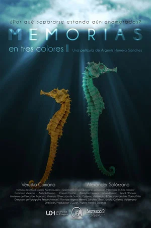 Постер: Memorias En Tres Colores