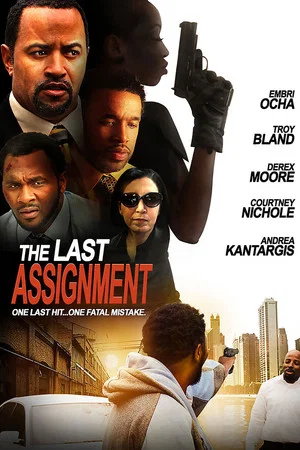 Постер: The Last Assignment