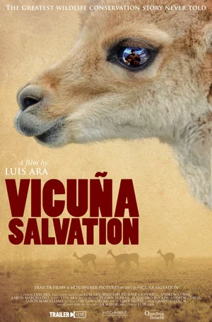 Постер: Vicuña Salvation