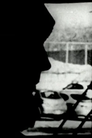 Постер: Perceptual Subjectivity