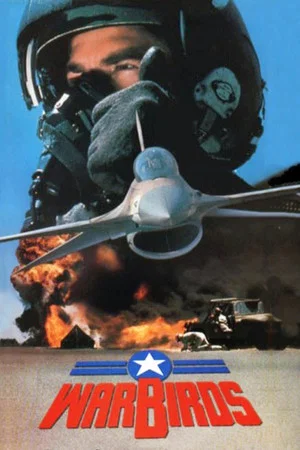 Постер: Warbirds