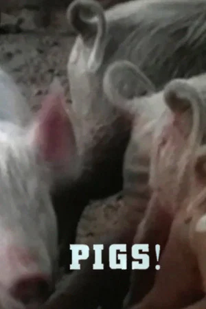 Постер: Pigs!