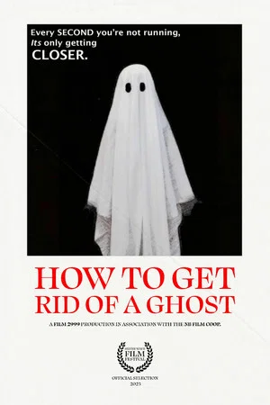 Постер: How To Get Rid of a Ghost