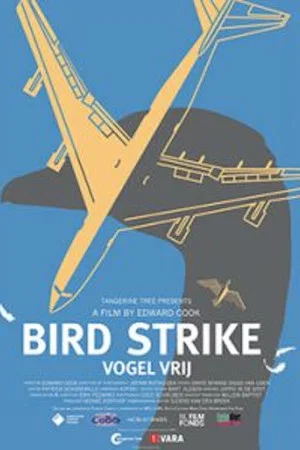 Постер: Bird Strike