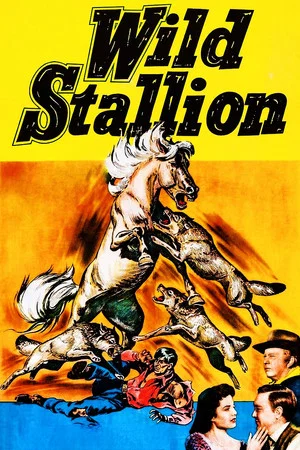 Постер: Wild Stallion