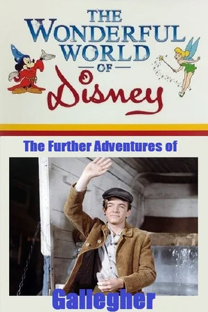 Постер: The Further Adventures of Gallegher