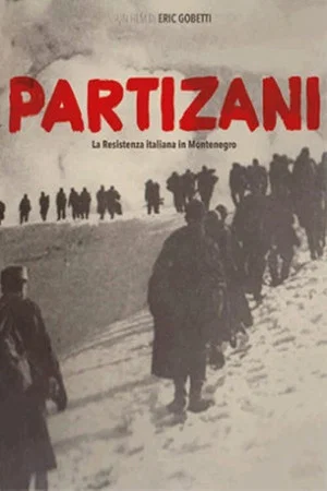 Постер: Partizani