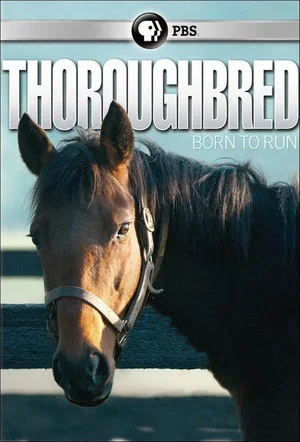 Постер: Thoroughbred: Born to Run