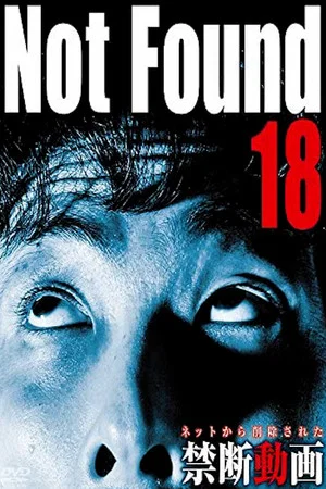 Постер: Not Found 18