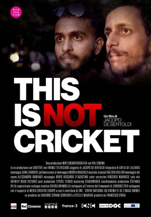 Постер: This is not Cricket
