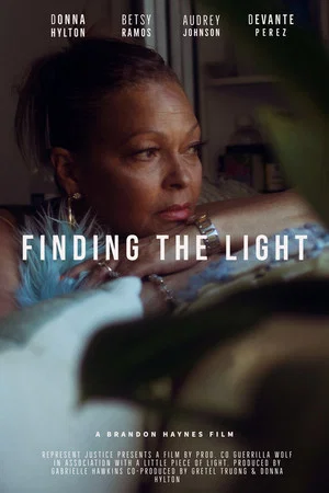 Постер: Finding the Light