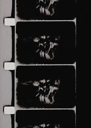 Постер: Studies in Image (de) Generation