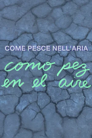Постер: Como pez en el aire