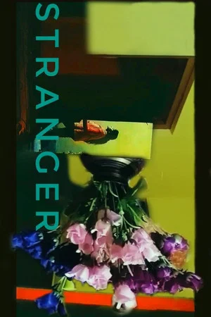 Постер: Stranger