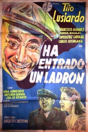 Постер: Ha entrado un ladrón