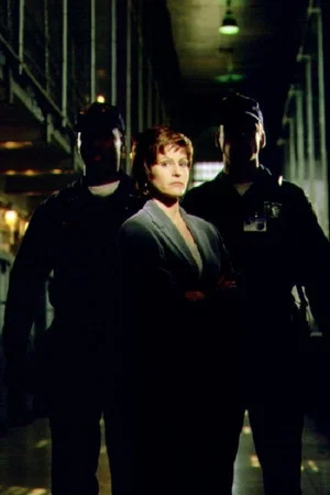 Постер: The Warden