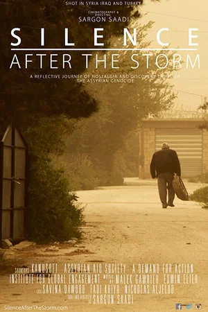 Постер: Silence After the Storm