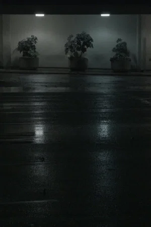Постер: Night Swells