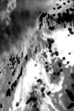Постер: Silver Traces