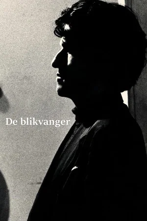 Постер: De blikvanger
