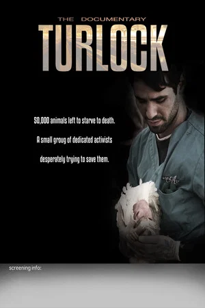 Постер: Turlock