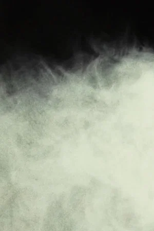 Постер: An Example of Lee-Roth Fog, Isolated Under Laboratory Conditions