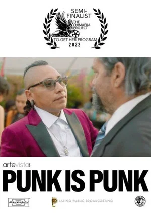 Постер: Punk Is Punk