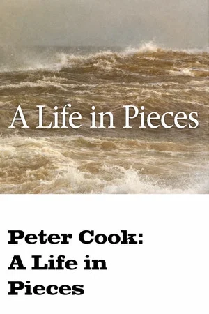 Постер: A Life in Pieces
