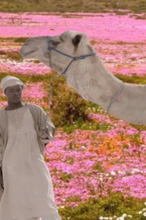 Постер: The Future Was Desert