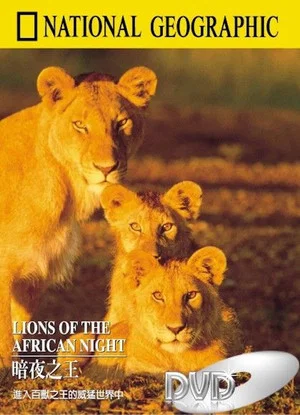 Постер: Lions of the African Night