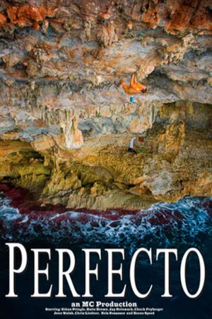 Постер: Perfecto