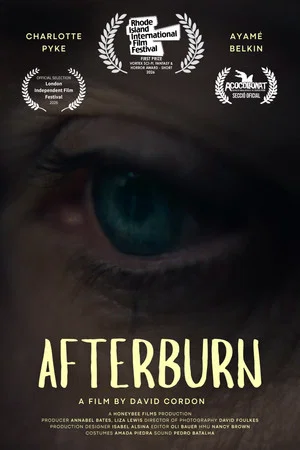 Постер: Afterburn